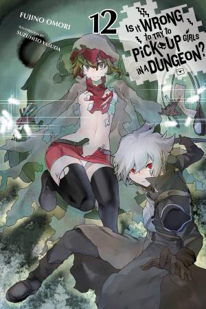 Cover of the book Is It Wrong to Try to Pick Up Girls in a Dungeon?, Vol. 12 (light novel) by Kenji Saito, Akinari Nao