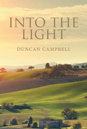 Cover of the book Into the Light by Mark Johnson
