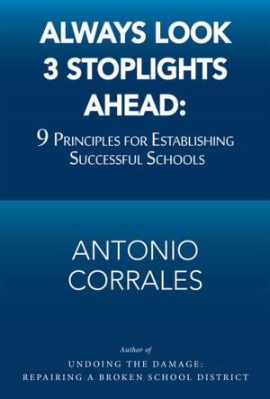 Cover of the book Always Look 3 Stoplights Ahead: 9 Principles for Establishing Successful Schools by John E. Huegel