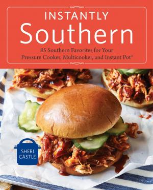 Cover of the book Instantly Southern by Janet Elizabeth Lynn
