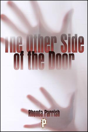 Cover of the book The Other Side of the Door by Kathy Finfrock