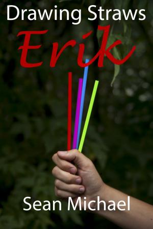 Book cover of Drawing Straws: Erik