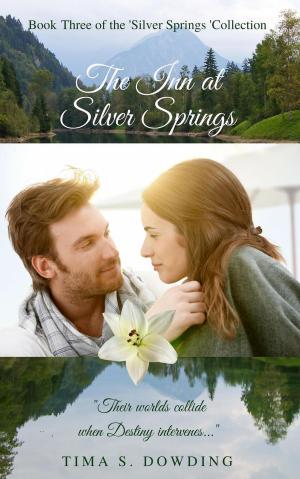 Cover of the book The Inn at Silver Springs by Fiola Faelan