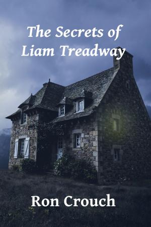 Cover of the book The Secrets of Liam Treadway by David Fingerman