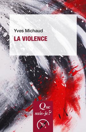 Cover of the book La violence by Slavoj Zizek