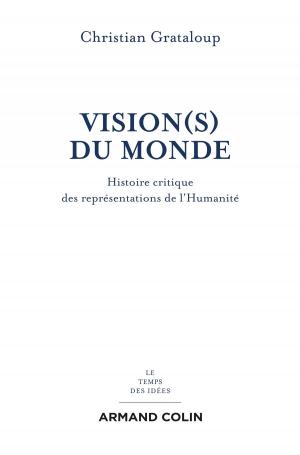 Cover of the book Vision(s) du Monde by Cédric Gruat, Lucía Martínez