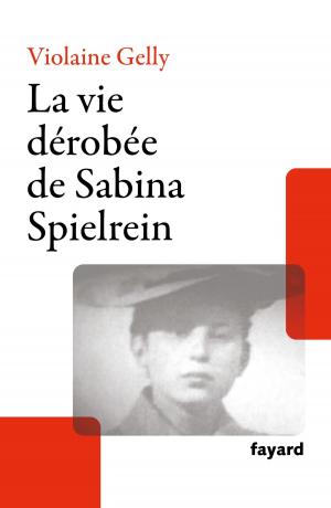 Book cover of La vie dérobée de Sabina Spielrein