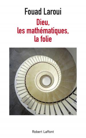 Book cover of Dieu, les mathématiques, la folie