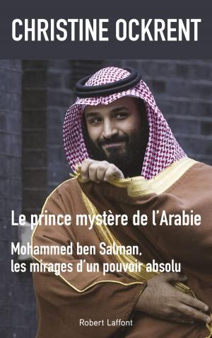 Cover of the book Le Prince mystère de l'Arabie by François BAZIN