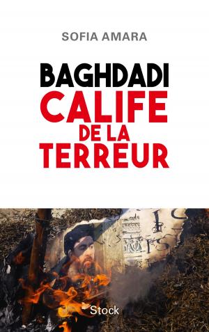 Cover of the book Baghdadi, calife de la terreur by Claire Renaud