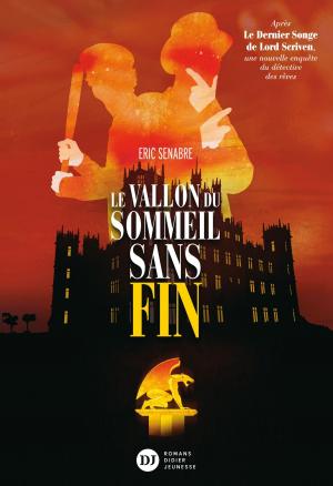 Cover of the book Le Vallon du sommeil sans fin by Eric Senabre