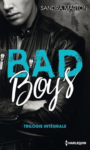 Cover of the book Bad Boys by Maureen Child, Bronwyn Jameson