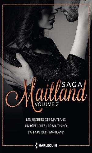 Cover of the book Les Maitland - Volume 2 by Maureen Child, Sarah M. Anderson, Yvonne Lindsay