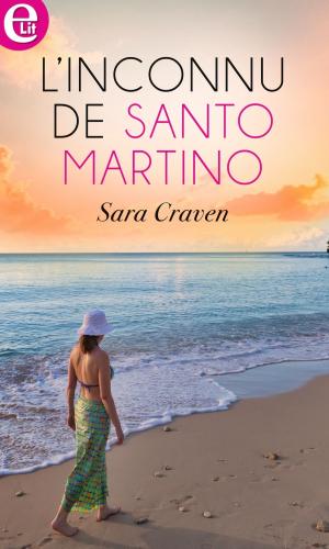 Book cover of L'inconnu de Santo Marino
