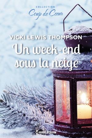 Cover of the book Un week-end sous la neige by Leona Karr