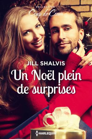 Cover of the book Un Noël plein de surprises by Lee Tobin McClain