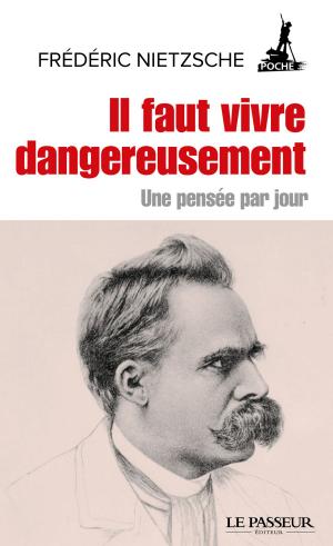 Cover of the book Il faut vivre dangereusement - Une pensée par jour by Christophe Andre, Martin Steffens