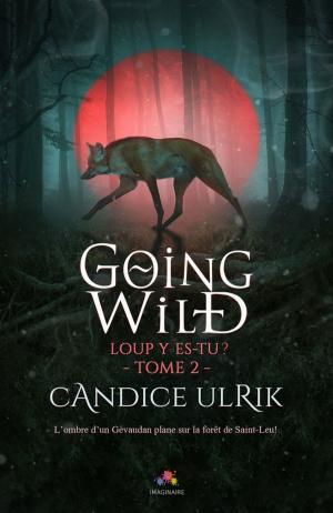Cover of the book Loup y es-tu ? by Julie Bozza