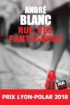 Cover of the book La rue des fantasques by André Blanc