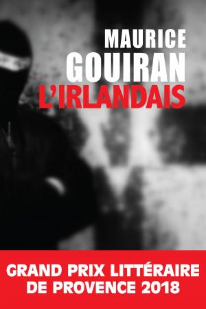 Cover of the book L'Irlandais by Pierre Pouchairet