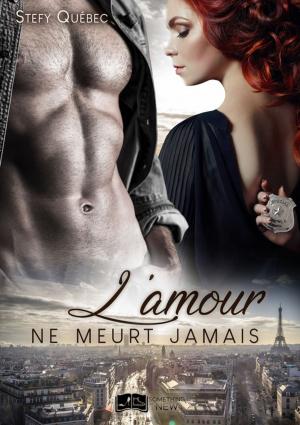 Cover of the book L'amour ne meurt jamais by Stefy Québec