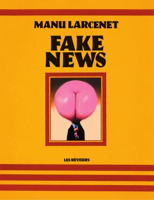 Book cover of Fake news