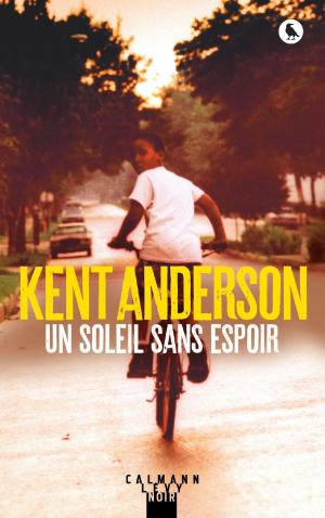 Cover of the book Un soleil sans espoir by Dominique Lormier