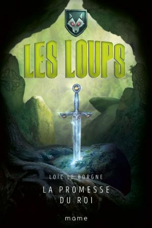 Cover of the book La promesse du roi by Michel Dubost, Stanislas Lalanne