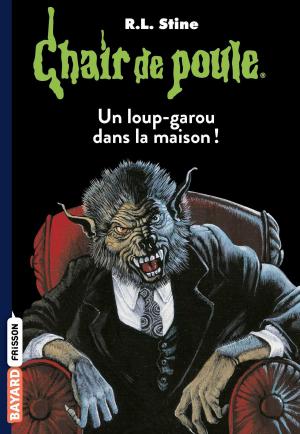 Cover of the book Chair de poule , Tome 60 by Évelyne Brisou-Pellen