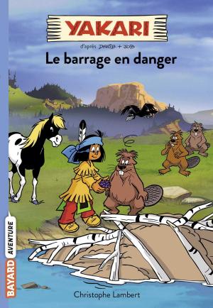 Cover of the book Yakari, Tome 06 by Christophe Lambert