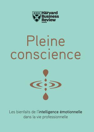 Cover of the book Pleine conscience by Lisa Steinke, Liz Fenton