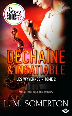 Cover of the book Déchaîné et insatiable - Sexy Stories by Abigail Barnette