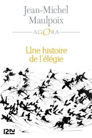 Cover of the book Une histoire de l'élégie by Cassandra CLARE, Maureen JOHNSON, Sarah REES BRENNAN