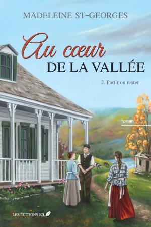 Cover of the book Au coeur de la vallée, T.2 by Marie-Bernadette Dupuy