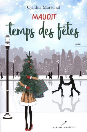 Cover of the book Maudit temps des fêtes by V.L. Locey
