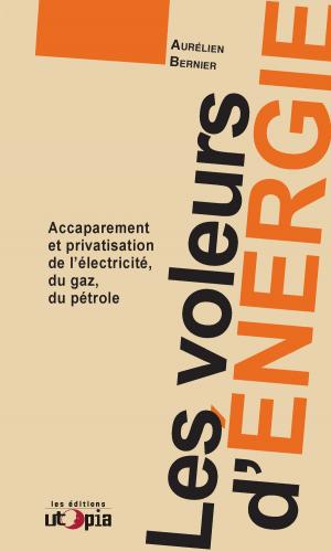Cover of the book Les voleurs d'énergie by Andrea Nguyen