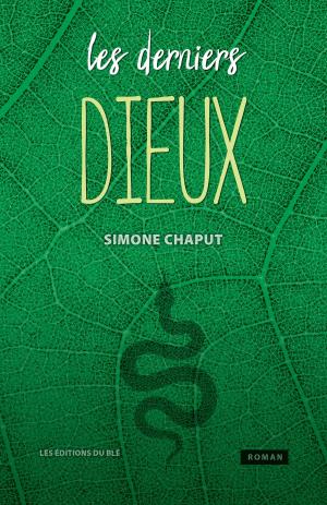 Cover of the book Les derniers dieux by Marc Prescott