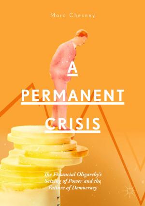 Cover of the book A Permanent Crisis by Anja du Plessis