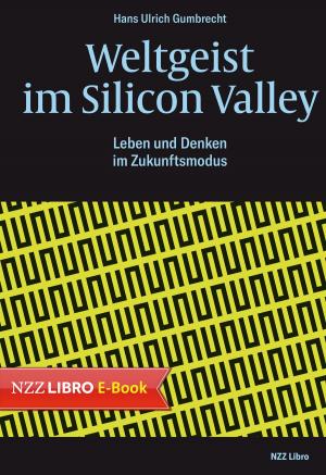 Book cover of Weltgeist im Silicon Valley