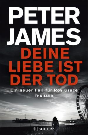 Cover of the book Deine Liebe ist der Tod by Jürgen Bertram