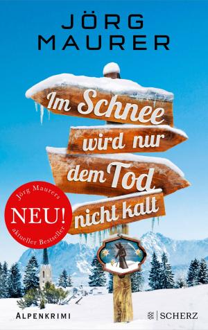 Cover of the book Im Schnee wird nur dem Tod nicht kalt by Wolfgang Hilbig, Jan Faktor