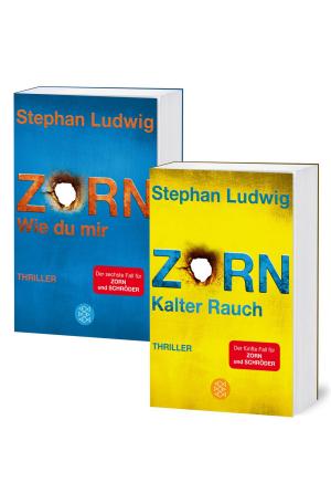 Cover of the book Zorn. Die Fälle fünf und sechs für Hauptkommissar Zorn und den dicken Schröder by C.C. Hunter