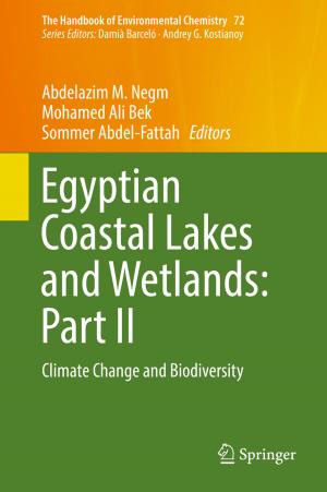 Cover of the book Egyptian Coastal Lakes and Wetlands: Part II by Thomas Richter