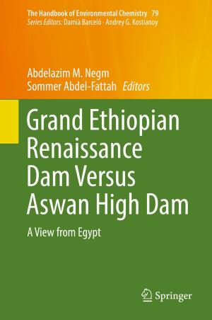 Cover of the book Grand Ethiopian Renaissance Dam Versus Aswan High Dam by Christopher Salvatore