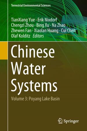 Cover of the book Chinese Water Systems by Alexander Zahnd