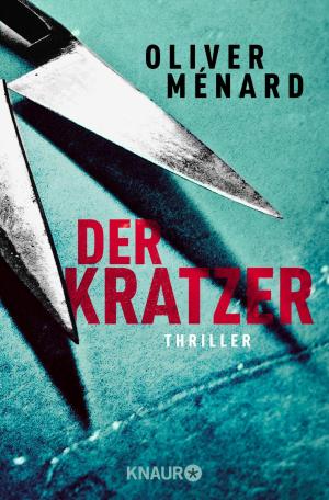 Cover of the book Der Kratzer by Diana Rosie