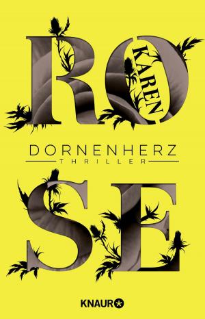 Cover of the book Dornenherz by John W. Mefford