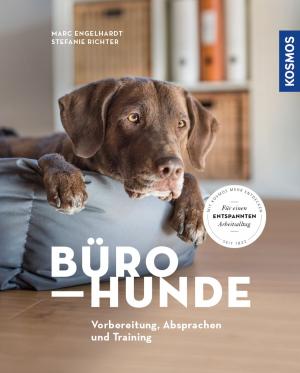 Book cover of Bürohunde