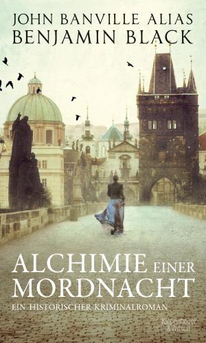 Cover of the book Alchimie einer Mordnacht by Volker Weidermann
