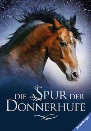 Cover of Die Spur der Donnerhufe, Band 1-3: Flammenschlucht, Sternenfeuer, Nebelberge